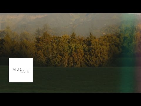 Deep and dub techno mix - ALEX HUMANN - Muzaikfm 013