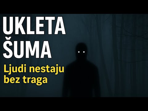 Šta se dešava u ovoj šumi? HOIA BACIU – mesto koje izaziva strah!