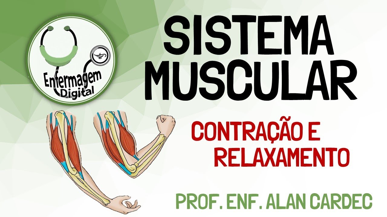 Sistema Muscular - Contração e Relaxamento Muscular