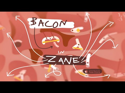 Bacon in Zane (by Philipp Stollenmayer) IOS Gameplay Video (HD)