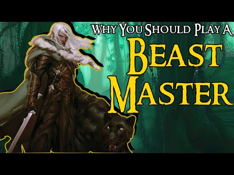 Why You Should Play A Beast Master | D&D 5e