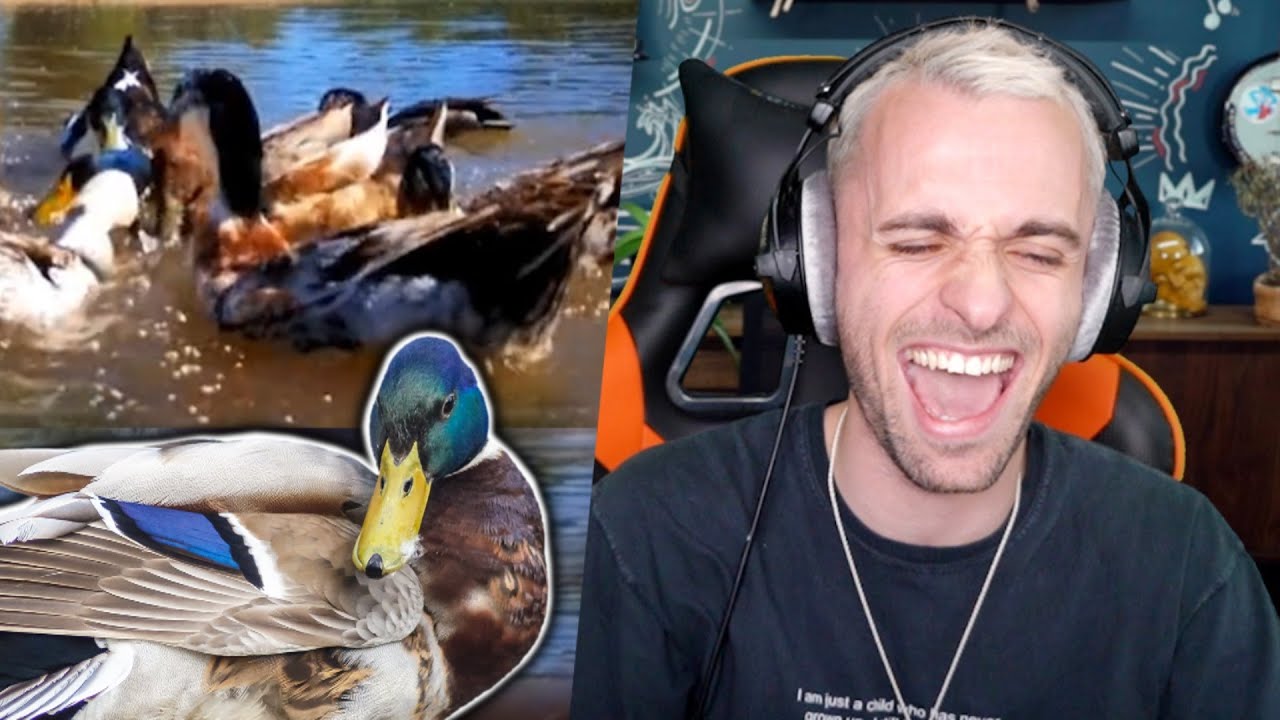 j’ai trouvé la meilleure activité !! thumbnail