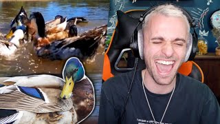 j’ai trouvé la meilleure activité 