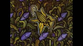 Flat Earth Society   Bad Religion w⁄ lyrics