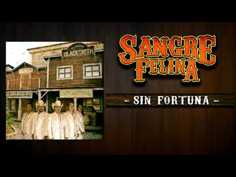 Sangre Felina