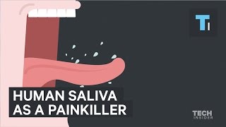 Human saliva is six times stronger than morphine