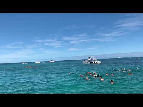 Hiral and Deval snorkeling in Cancun