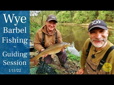 River Wye Fishing For Barbel & Chub - Guiding Session - 1/11/22 (Video 357)