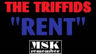 The Triffids - Rent 1989 Island Records