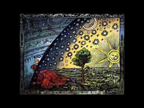 B-Tripp' - Simulation