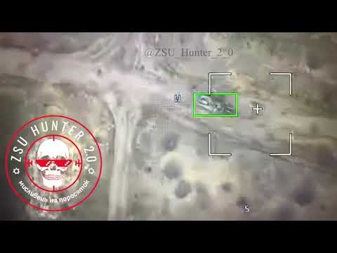 20231027 0856 Lancet Wisent 1 MC.