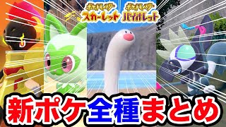 【ポケモンSV】ウミディグダの元ネタはチンアナゴ？新ポケ全種まとめて解説【ポケットモンスタースカーレット・バイオレット】