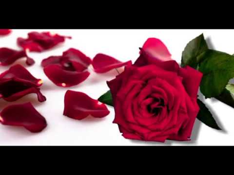 Rosas para mi amor Video
