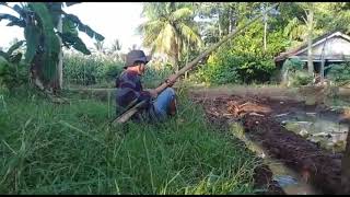 Download lagu Ngakak!! Video lucu ngedusi caceng nng kolam'e lekjoo mp3