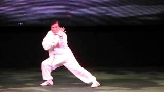 全球中國武術家聯會，經典武術大匯演 表演 - 少林黑虎門 黑虎拳 （王銳勳 師父)