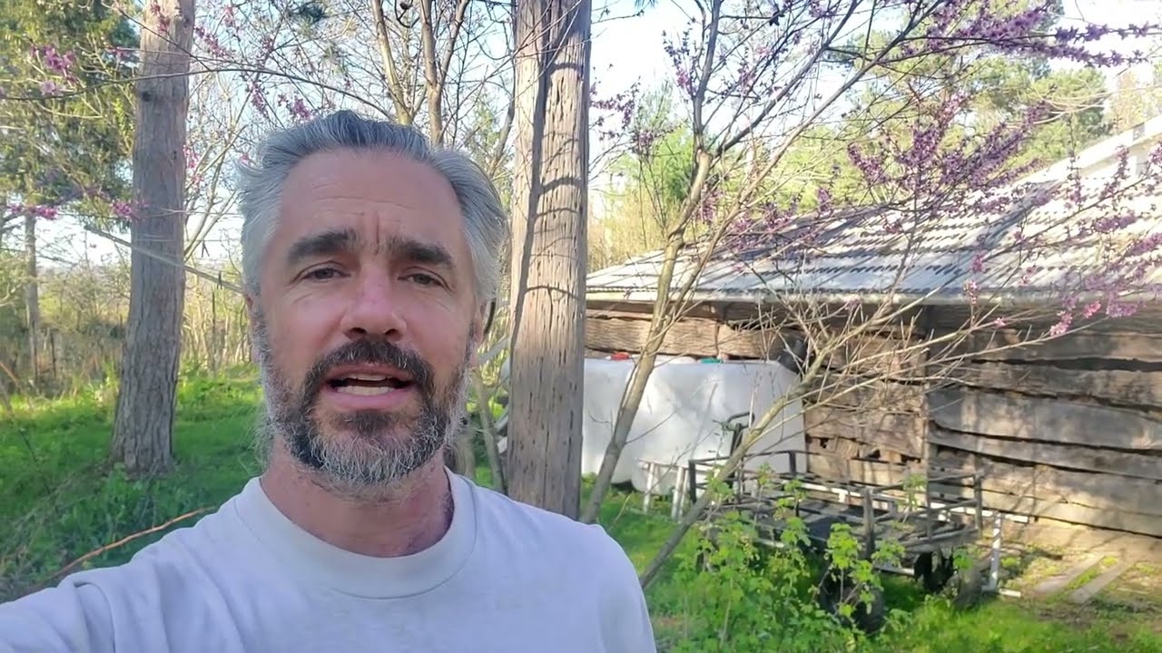 Spring Tour - Trees are in FLOWER!