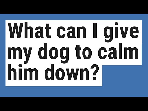 What can I give my dog to calm him down?