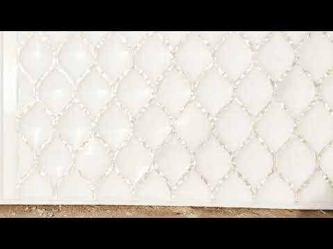 Mother of pearl inlay  design