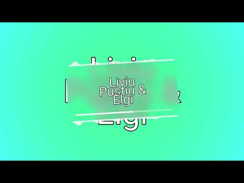 Liviu Pustiu & Elgi -Noaptea in gandul meu