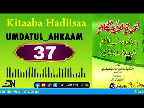 Kitaaba Hadiisaa||Umdat_al_ahkam_#Part_37 | |عمدة الأحكام  #umdatulAhkam #afaanoromoo