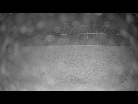 Watch the flock at work