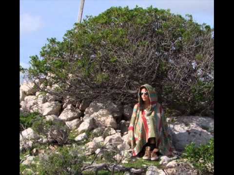 Belo Martin Coehn - Byron Bay Treehouse Song: Sally Whelan - Martin Cohen