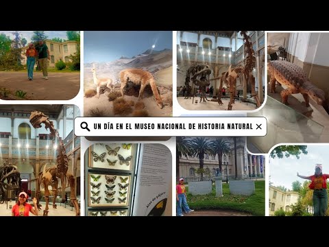 Santiago secreto: 3 joyas GRATIS en Quinta Normal (¡Museo Nacional de Historia Natural imperdible!)