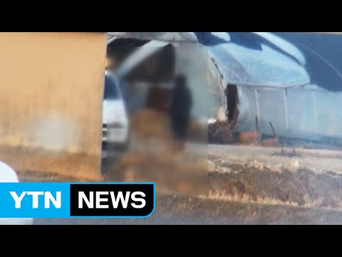 전국 동시 조합장 선거...각종 불법 난무 / YTN