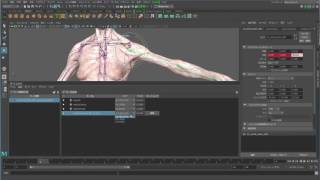 Autodesk Maya 2017 新機能のご紹介 01:ポーズ スペース デフォメーション