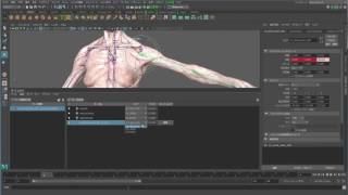  - Autodesk Maya 2017 新機能のご紹介 01：ポーズ スペース デフォメーション