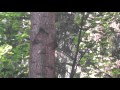Красоты Щелыково.mp4 