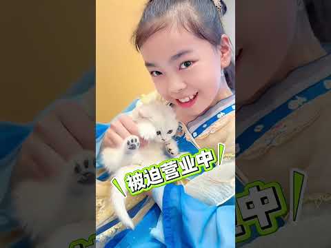 從10歲領養銀漸層到緬因貓，媽媽的做法對嗎？ #寵物和孩子