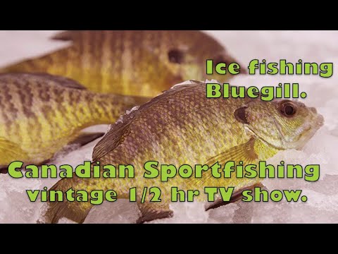 Circa 2000's Ice Fishing For Bluegill, Southern Ontario