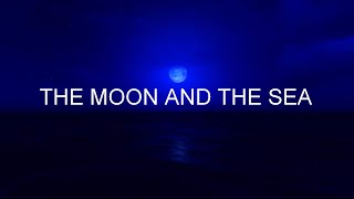 Dave Luxton -  The Moon and the Sea