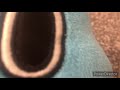 The Amazing World Of Gumball The Missing Promo Coming Tuesday