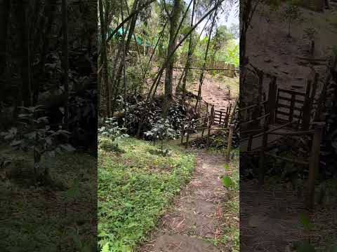 Finca Maria Paula Arbelaez, Cundinamarca