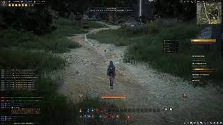 【黒い砂漠】#2 初見プレイ_Lv30~ 【Black Desert】