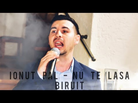 IONUT  PAL - Nu te lasa biruit ( Cover )