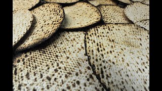 כיצד ניתן להגיע לפשיטות של המצה - אגדה ▪️ הרב נחמנסון ▪️ (כינוס תורה בית חב"ד קרית משה רחובות)*** (הערוץ של הרב יהודה לייב נחמנסון) - התמונה מוצגת ישירות מתוך אתר האינטרנט יוטיוב. זכויות היוצרים בתמונה שייכות ליוצרה. קישור קרדיט למקור התוכן נמצא בתוך דף הסרטון