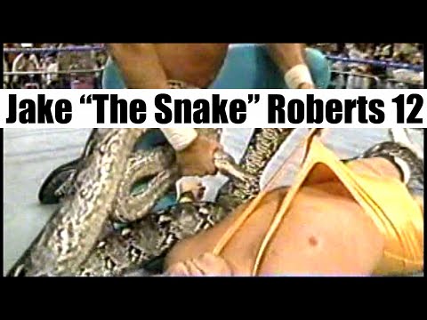 Jake "The Snake" Roberts vs. Louie Spicolli