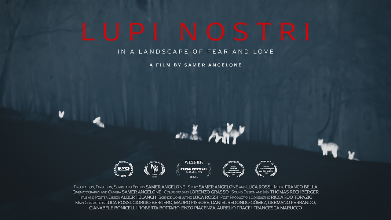 Trailer [Subtitled]