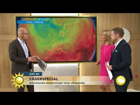 Väderspecial: "Finns hopp om värme" - Nyhetsmorgon (TV4)