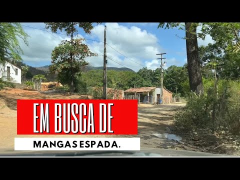 Fomos Buscar Manga Espada no Severino (Uruburetama Ce)