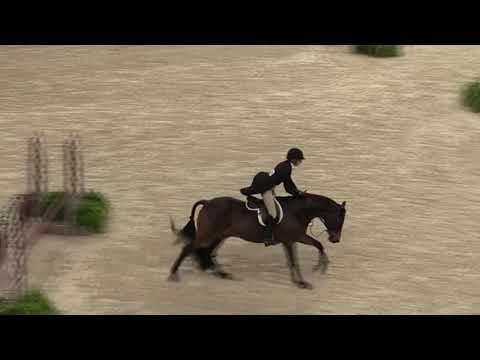 Video of CAKEBREAD ridden by ANNA ROSSI from ShowNet!