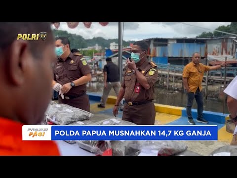 DITPOLAIRUD POLDA PAPUA MUSNAHKAN 14,7 KG GANJA MILIK 6 TERSANGKA