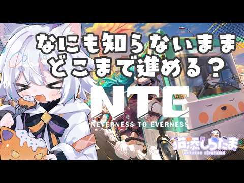 【#nte Neverness to Everness】#3 にくきゅう大強盗がしたいねこ/参加型🐈【猫添しらたま】