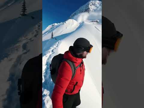 Bear Saves Tourist from Massive Avalanche 😱🐻❄️ | Real Drone Footage