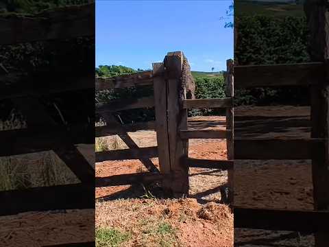 Na estrada Honório cunha, em Claraval