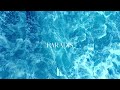 Cellar Kid Paradis Official Audio
