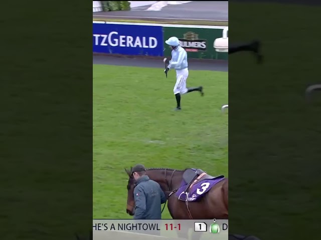 Thumbnail for Post ID: 66ppjgO8fG0